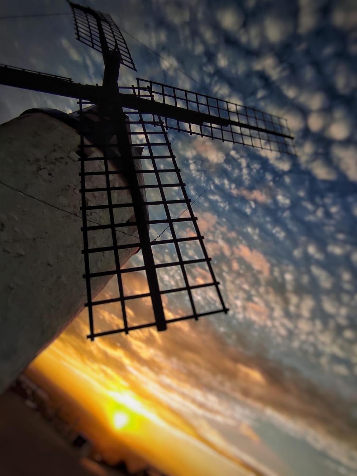Duplex Entre Molinos * Consuegra